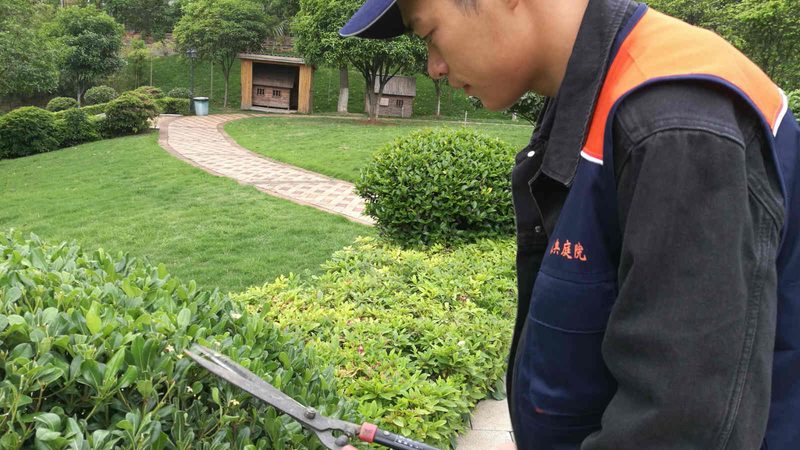 上海别墅花园设计公司加盟条件解析**