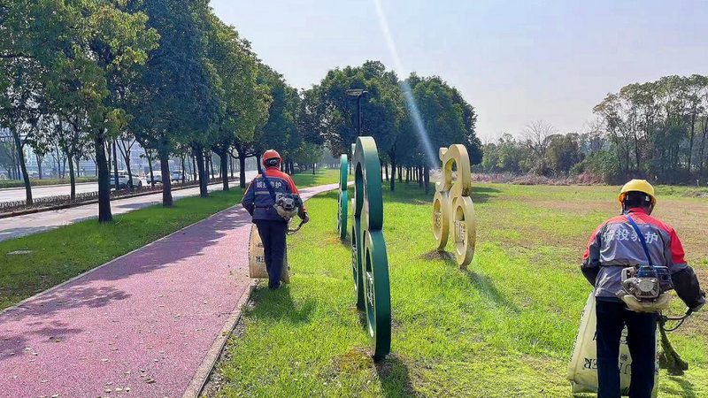 小区绿化养护标准GB解读：守护绿色家园的秘密武器