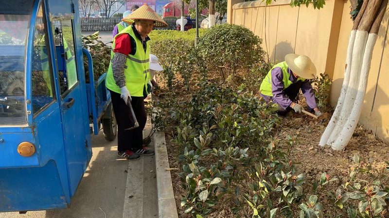 上海别墅花园设计报价单，揭秘设计与预算的奥秘**
