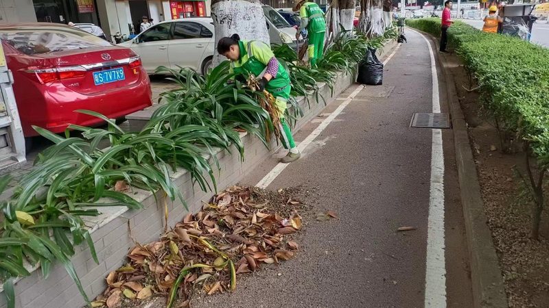 苏州园林绿化工程公司施工流程全解析**