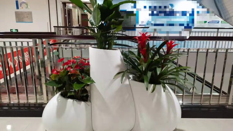 屋顶花园承重设计：安全与美观的平衡之道**