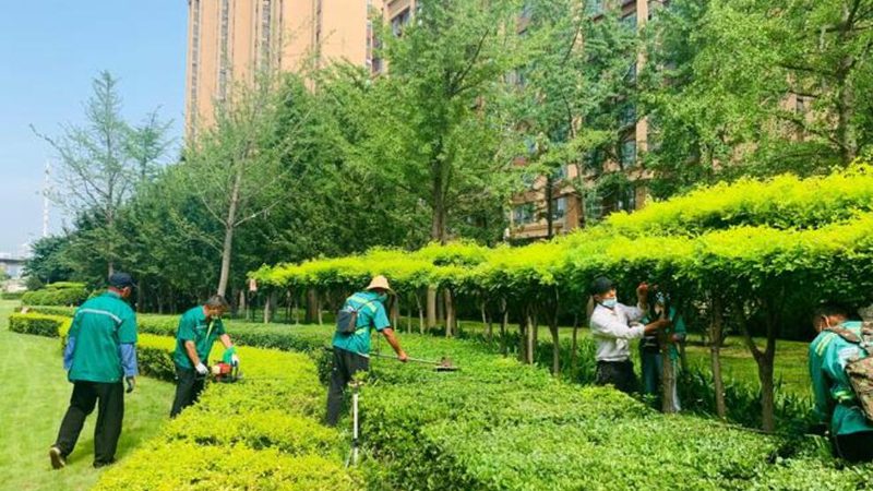 别墅外墙立体绿化设计施工，如何打造生态美学空间？**